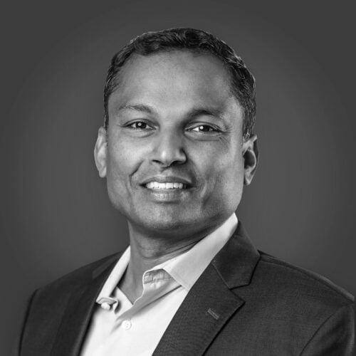 Raj Narayanan
